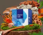 ENERGY Mycoren gyógygomba 90 kapszula 