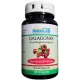 NutriLAB Galagonya Forte 300mg 60 kapszula