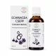Bálint Cseppek Echinacea csepp 50ml 