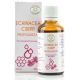 Bálint Cseppek Echinacea propolisszal csepp 50ml 