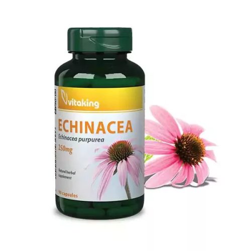 Vitaking Echinacea 250 mg 90 kapszula
