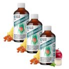 Natur Tanya VEGÁN BÉLRADÍR PLUSZ 3x1 db TRIO pack (prebiotikus rostok citromfűvel, Bélflóra, emésztés) 3x480 ml csomagban olcsóbb!