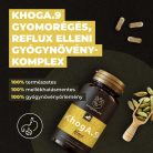 Myrobalan KhogA.9 gyomorégés, reflux elleni gyógynövény-komplex 60 db vegán kapszula