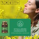 Myrobalan MeTor 2x1 doboz DUO pack gyulladáscsökkentő gyógynövény komplex 2x60 kapszula - csomagban olcsóbb!