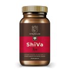 Myrobalan ShiVa vérnyomáscsökkentő gyógynövény-komplex 60 db vegán kapszula 