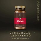 Myrobalan ShiVa vérnyomáscsökkentő gyógynövény-komplex 60 db vegán kapszula 