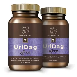   Myrobalan UriDag húgyúti fertőzések elleni gyógynövény komplex DUO pack 2x60 kapszula csomagban olcsóbb!