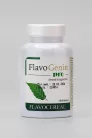 Max Immun Flavogenin Pro 60 Varga Gyógygomba