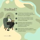 Organiqa tiszta himalájai Shilajit gyanta 50g