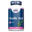 Haya Labs Ursolic Acid 250 mg / 100 kapszula - Urzolsav