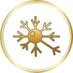 Idegrendszerre