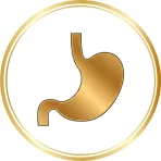 Emésztés