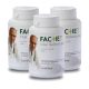 Dr Fachet Gyógygomba Vital Defense PLUS TRIO Pack 3x60db