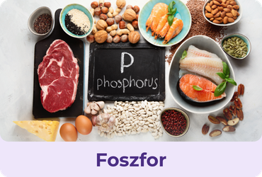 Foszfor - az energia és a szerkezet összekötője