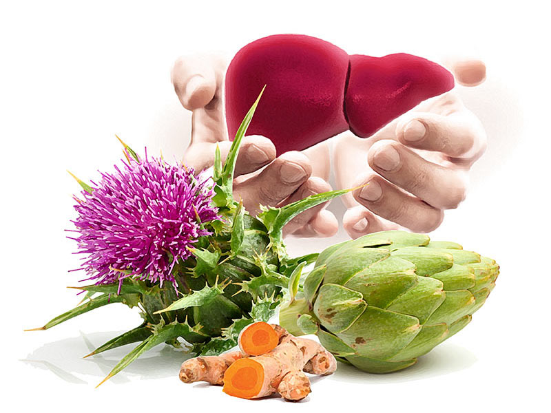 Natur Tanya® Hepa Detox májvédő koncentrátum