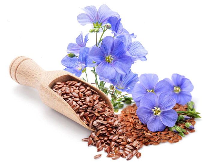 12 dolog, amit tudnod kell a lenmagolajról 