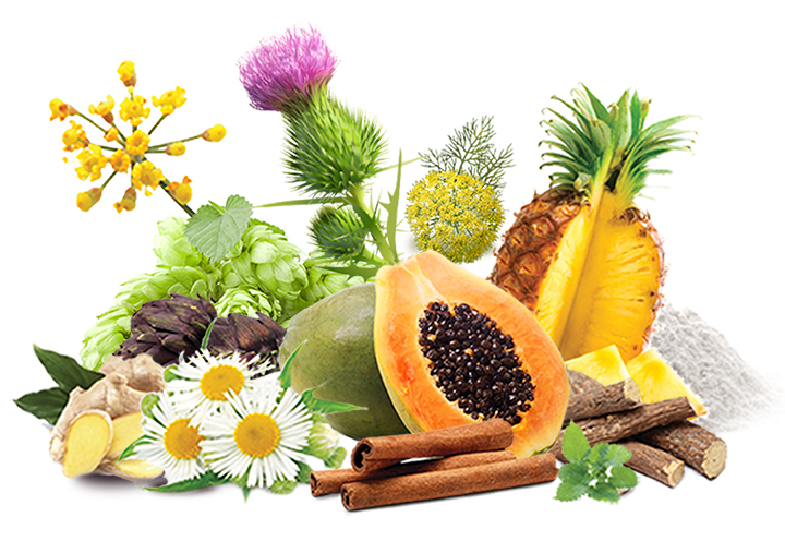 Lipo+ lapos has koncentrátum béltisztítás gyógynövényekkel