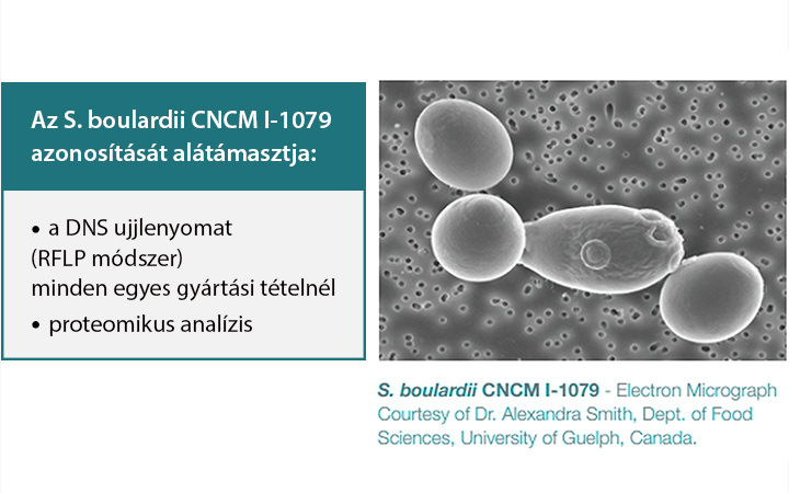 FLÓRABIOTIKUM Saccharomyces boulardii és fermentált guárbab prebiotikum
